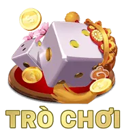 Hỗ trợ chuyên nghiệp 24/7